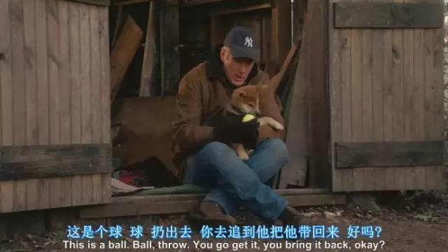 深入骨髓_深入骨髓_深入骨髓