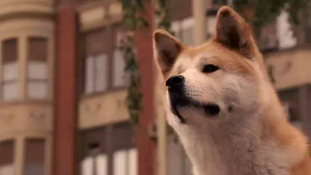 深入骨髓_深入骨髓_深入骨髓