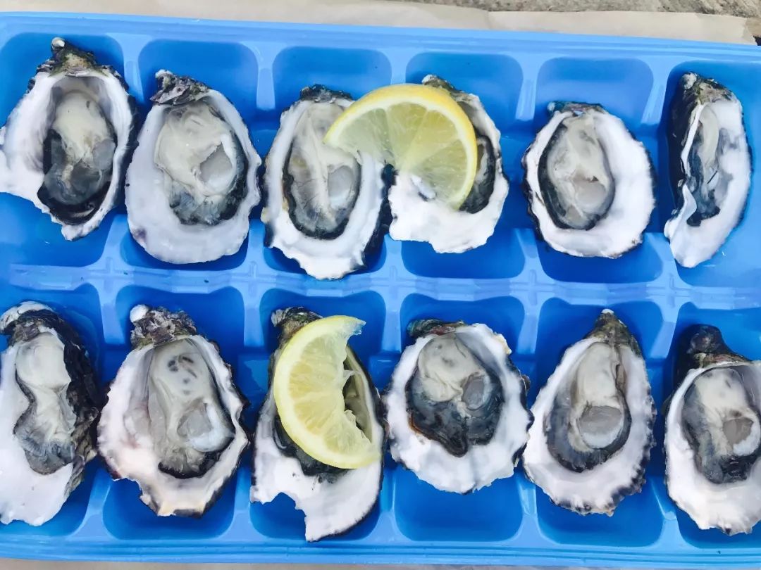 penpal是一个单词吗_penpal_penpal是什么意思