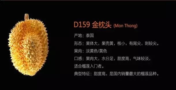 苏丹王榴莲哪里产_苏丹王_苏丹王和金枕什么区别