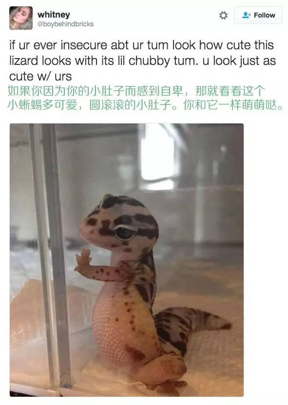 loads_loads是什么意思_loadsof