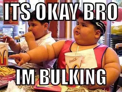 bulking_bulkingagent_bulkingup