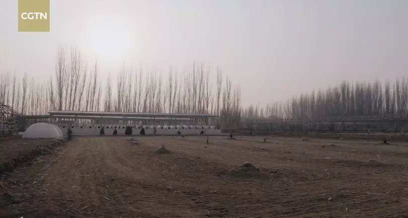 turpan_turpan吐鲁番发音_turpan怎么读的