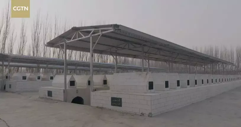 turpan_turpan怎么读的_turpan吐鲁番发音