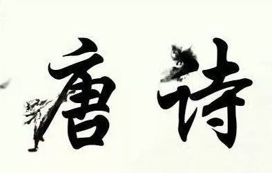 Sinologists翻译_sinologist_Sinologist翻译