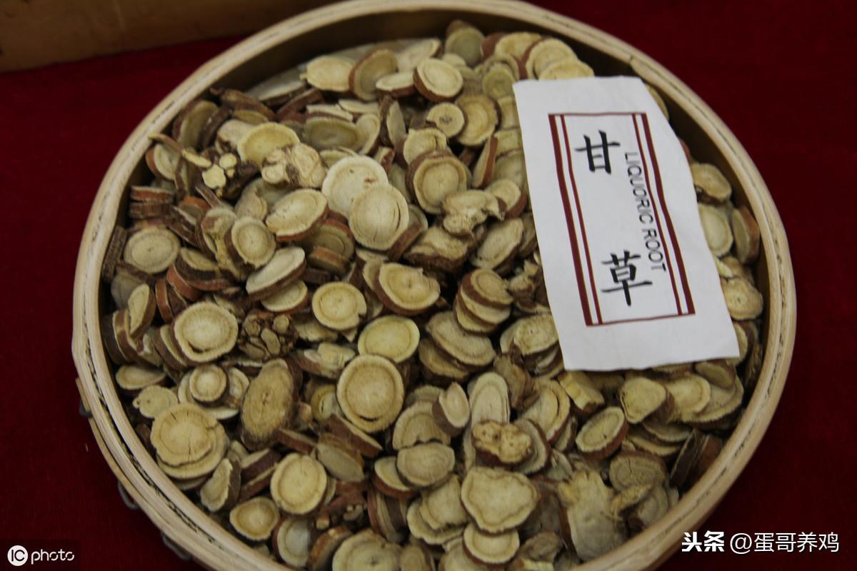 禽_禽流感_禽组词
