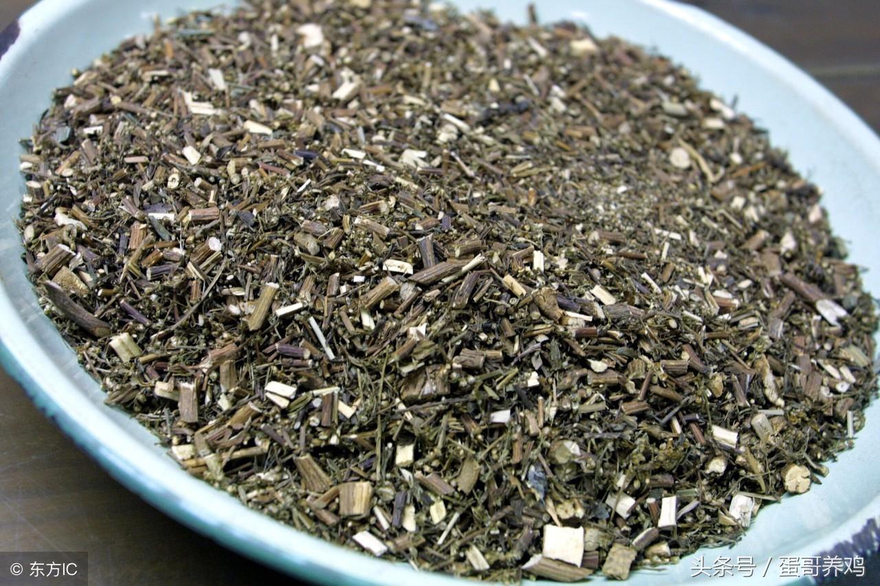 禽_禽流感_禽组词