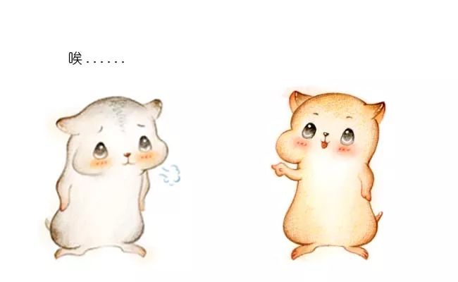 两个数组_数组c语言_数组词多音字