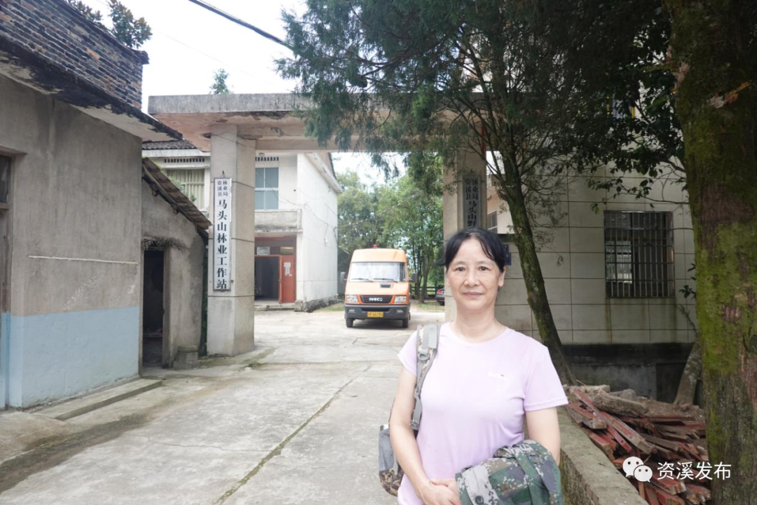 苍苍莽莽的意思_莽莽的意思_莽莽