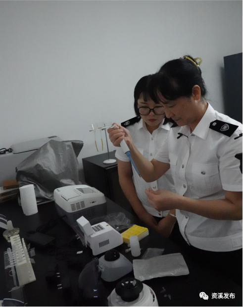 苍苍莽莽的意思_莽莽_莽莽的意思