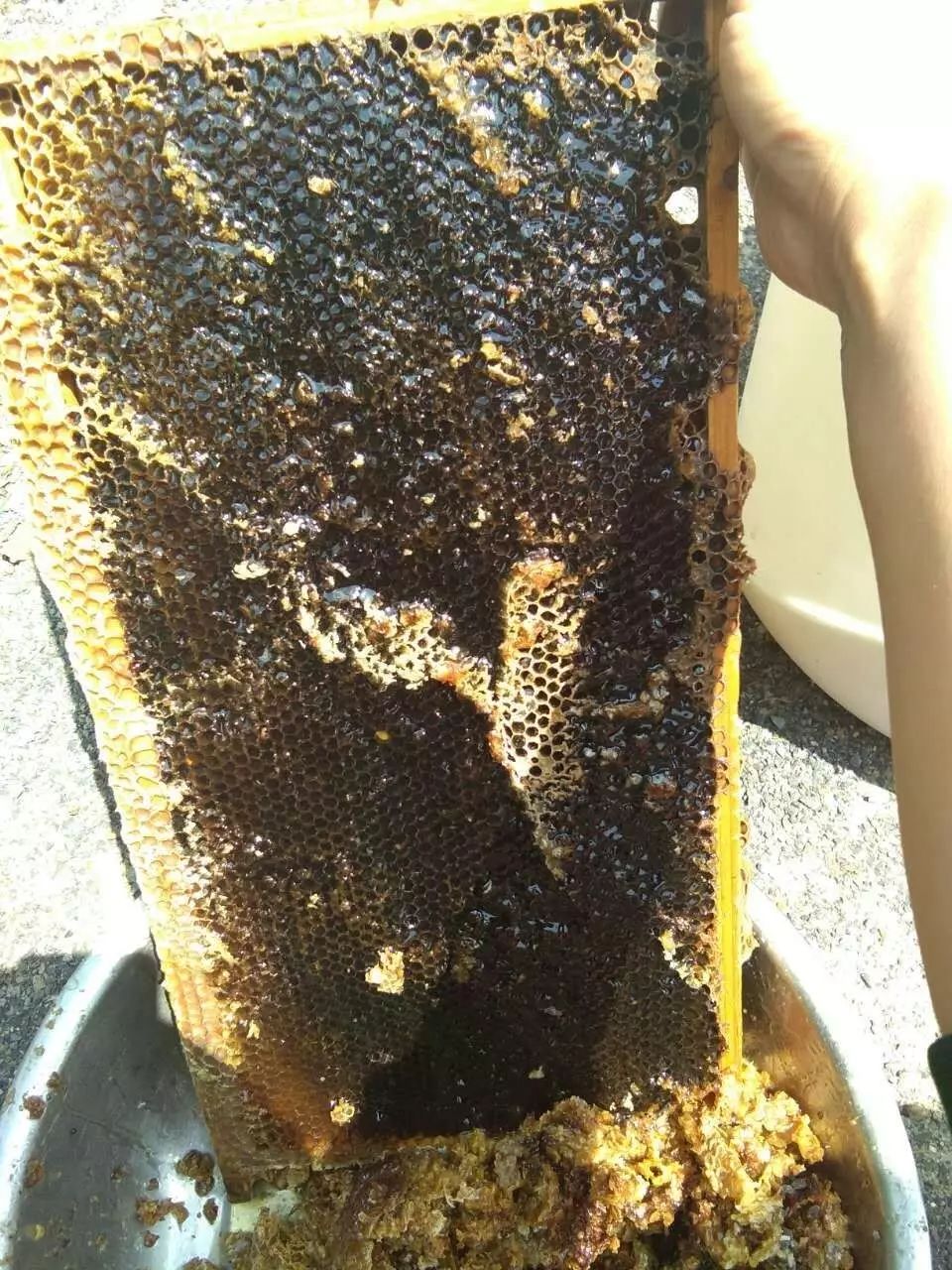 肤如凝脂_肤如凝脂的凝脂是什么_肤如凝脂啥意思