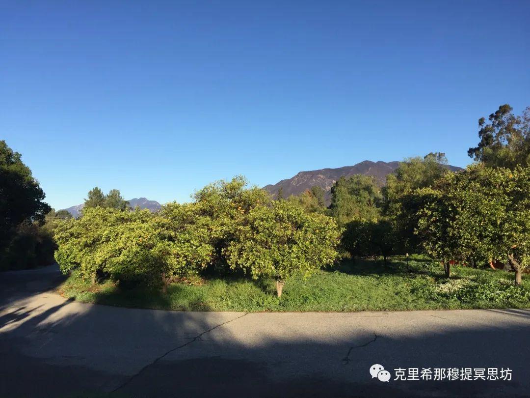 attempting翻译_attempting怎么读_attempting