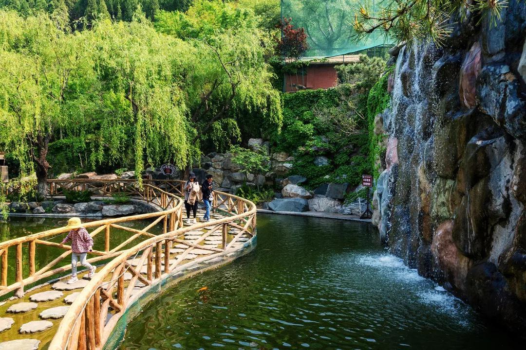 九顶塔_塔顶图片_顶我顶必须顶