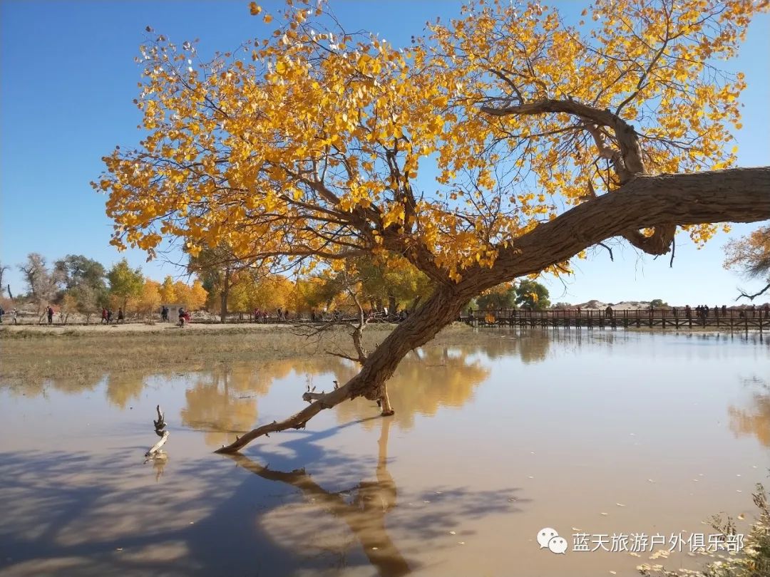 蓝天旅游_蓝天旅游景点有哪些地方好玩_蓝天旅游官网