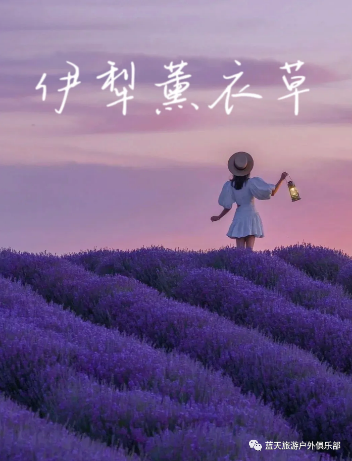 蓝天旅游_蓝天旅游景点_蓝天旅游官网