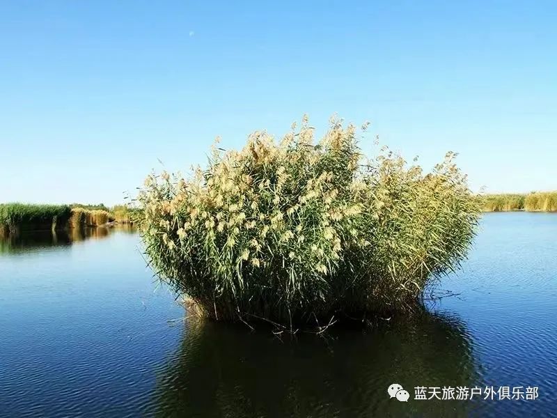 蓝天旅游景点_蓝天旅游_蓝天旅游有限公司