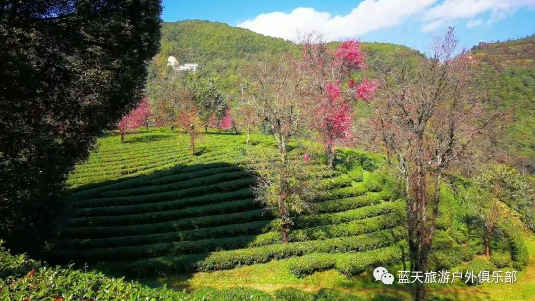 蓝天旅游景点有哪些地方好玩_蓝天旅游官网_蓝天旅游