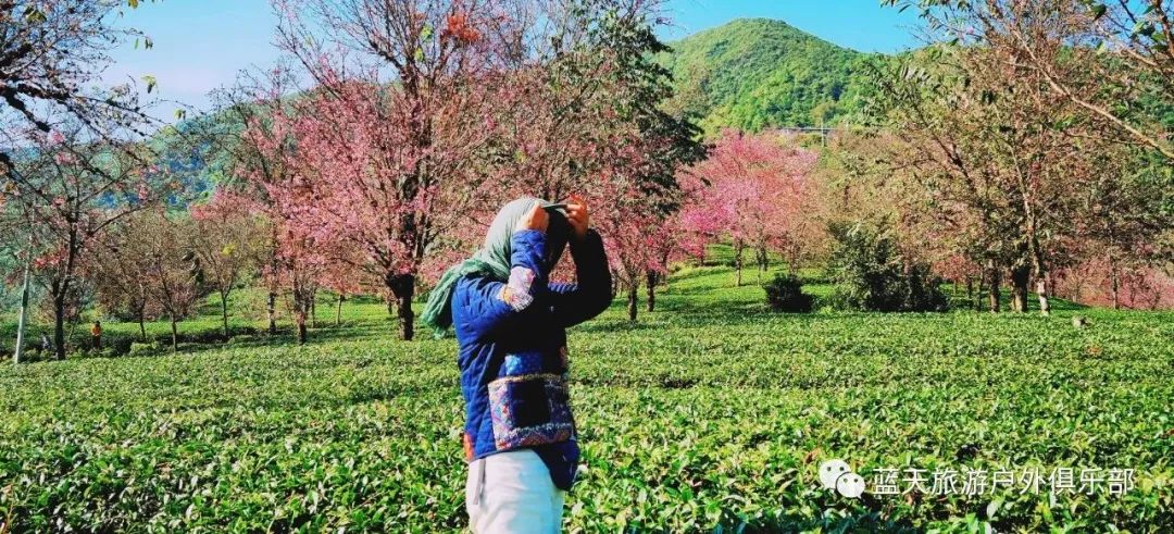 蓝天旅游景点有哪些地方好玩_蓝天旅游官网_蓝天旅游