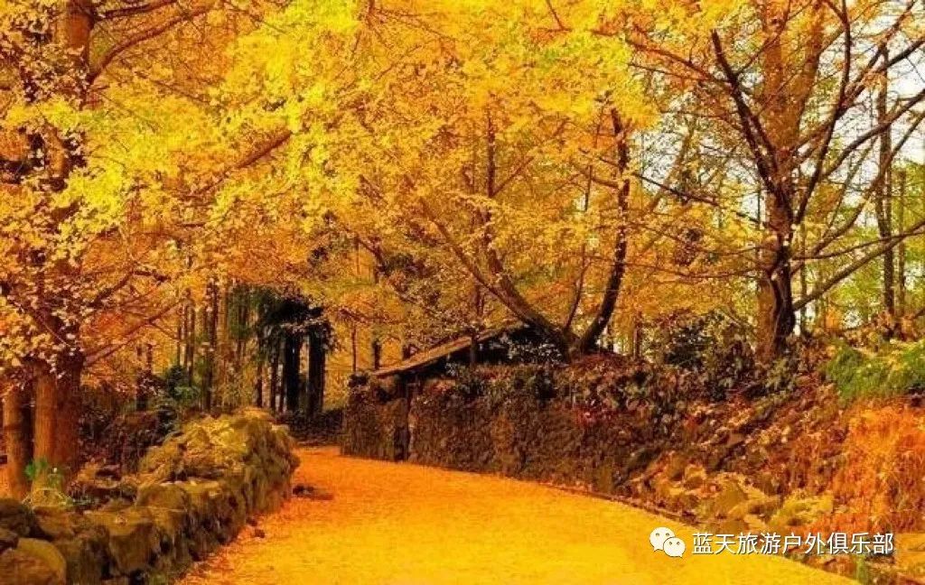 蓝天旅游_蓝天旅游景点有哪些地方好玩_蓝天旅游官网