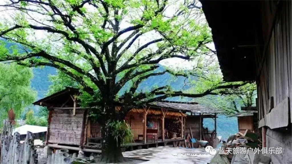 蓝天旅游景点有哪些地方好玩_蓝天旅游_蓝天旅游官网