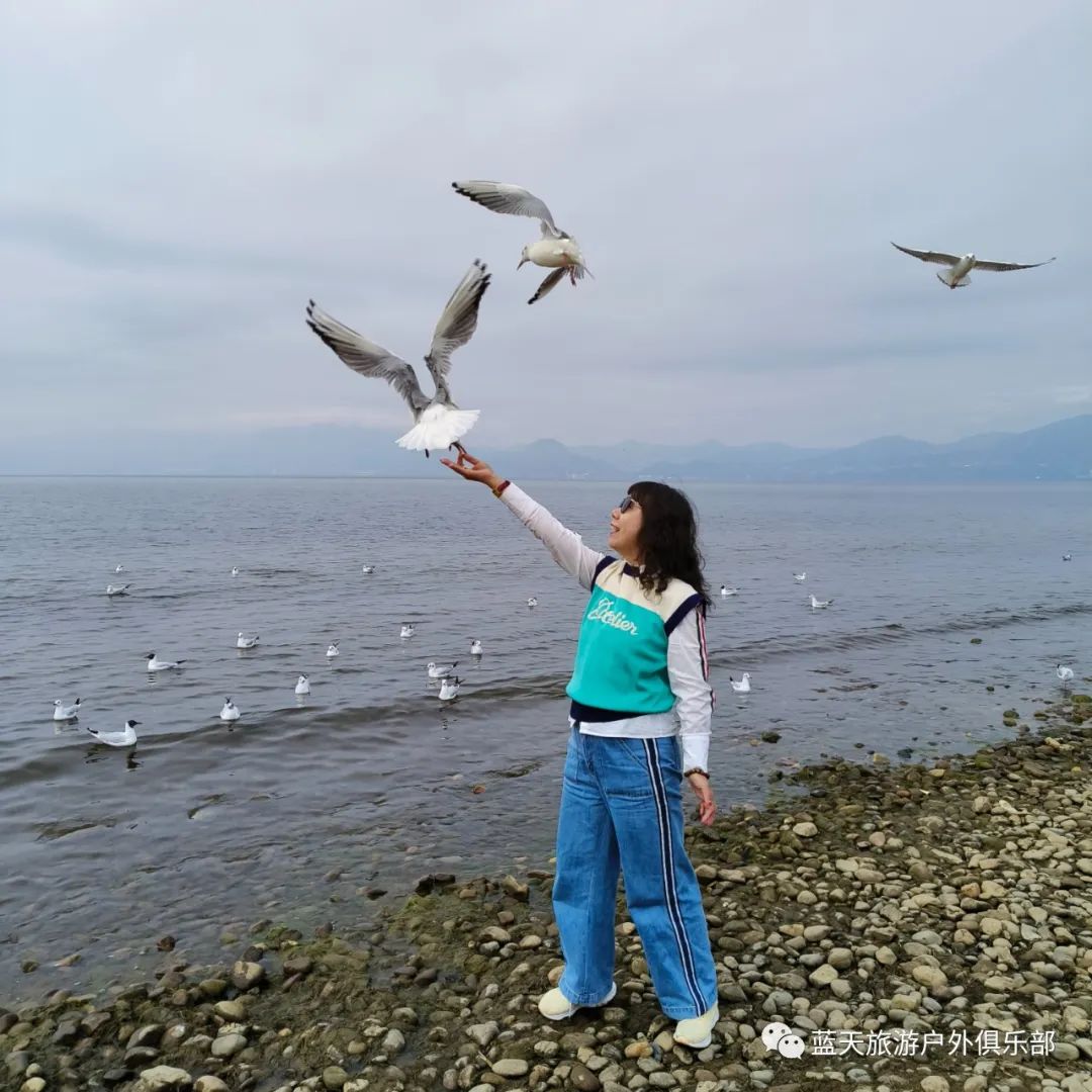 蓝天旅游景点有哪些地方好玩_蓝天旅游_蓝天旅游官网