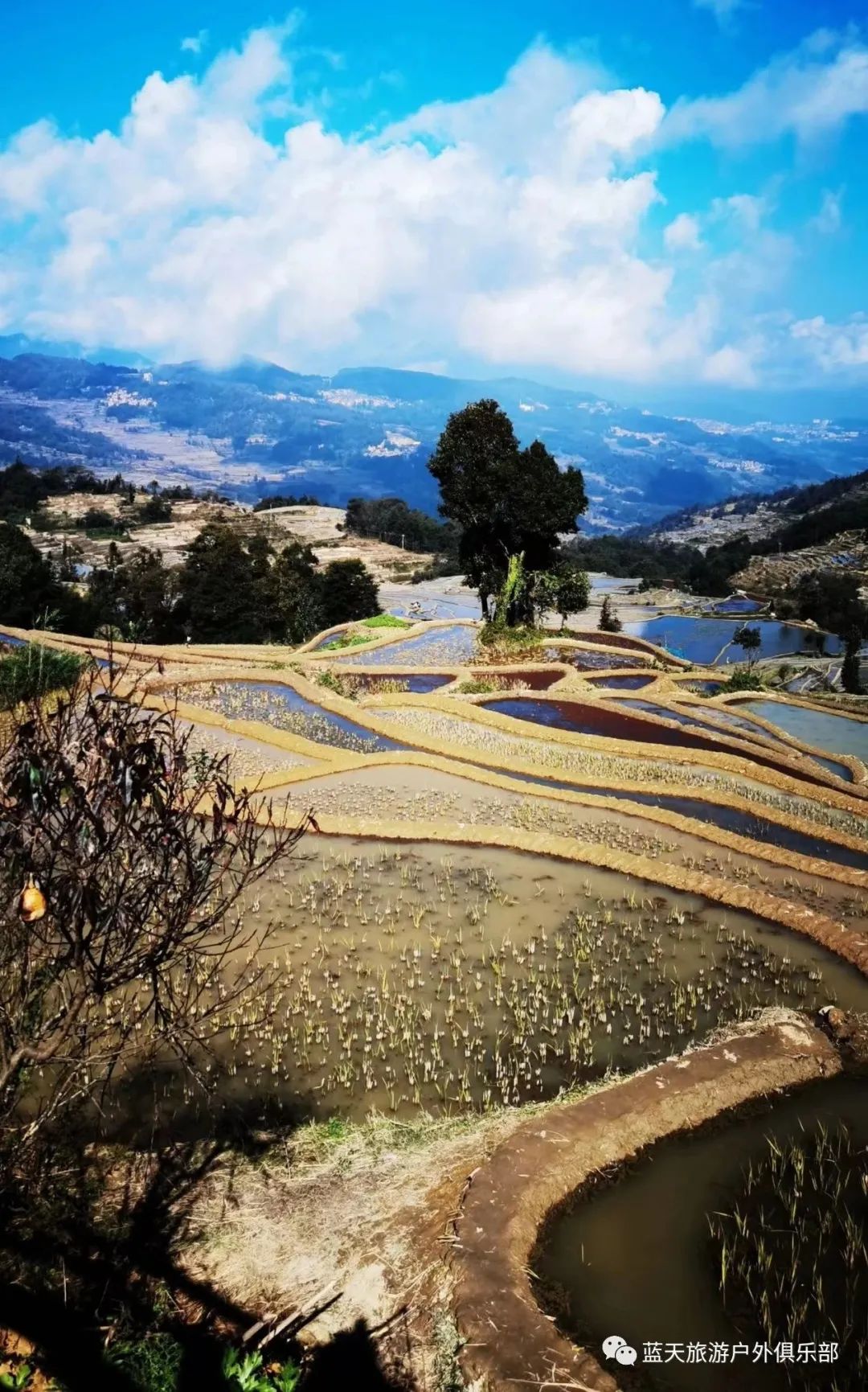 蓝天旅游官网_蓝天旅游景点有哪些地方好玩_蓝天旅游