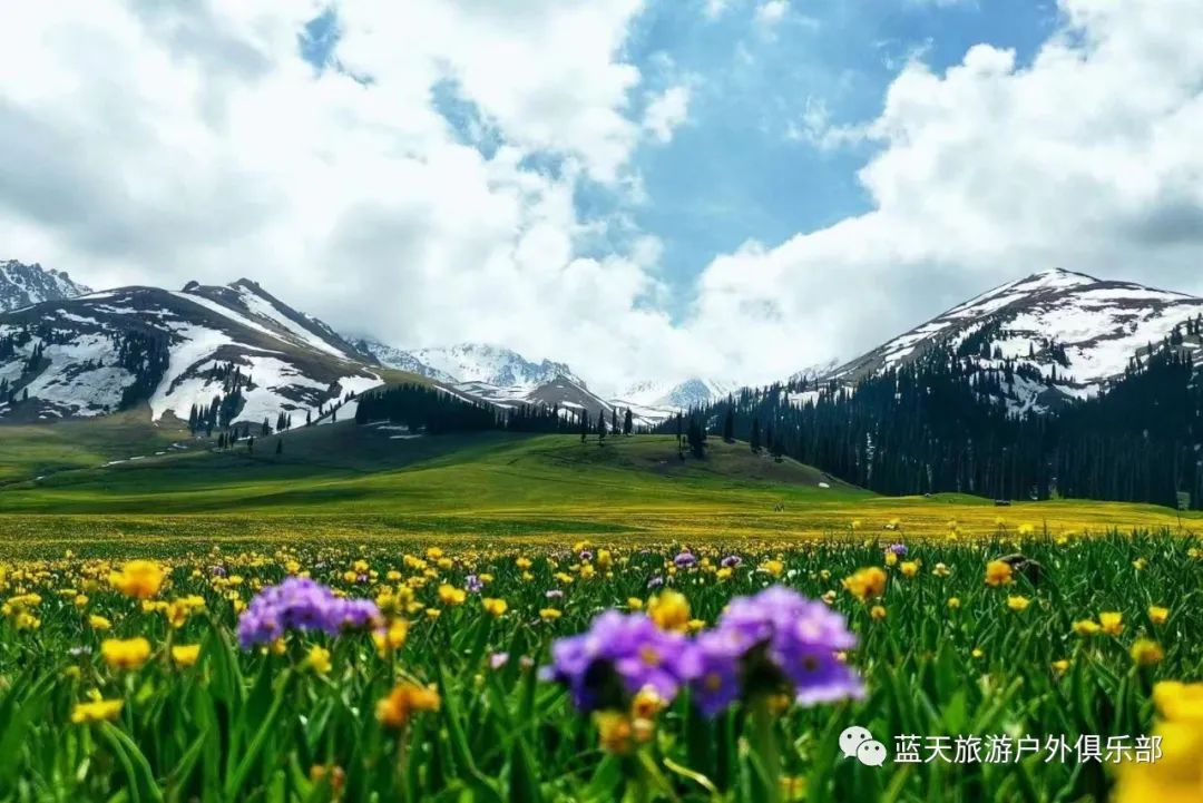 蓝天旅游的地方_蓝天旅游_蓝天旅游官网