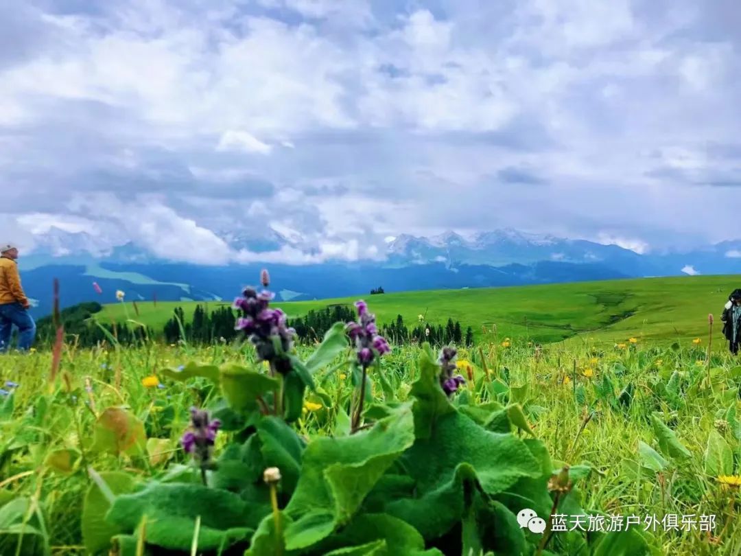 蓝天旅游官网_蓝天旅游的地方_蓝天旅游