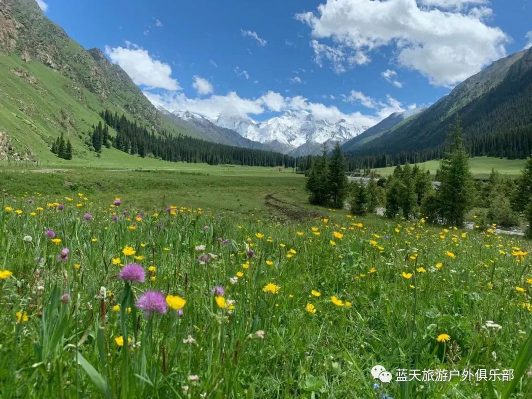 蓝天旅游官网_蓝天旅游的地方_蓝天旅游