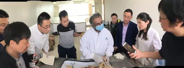 apathy形容词_apathy_apathy翻译