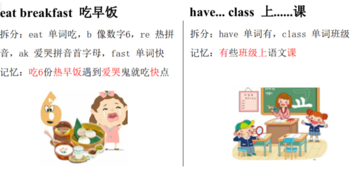 younger是什么品牌_younger_younger怎么读