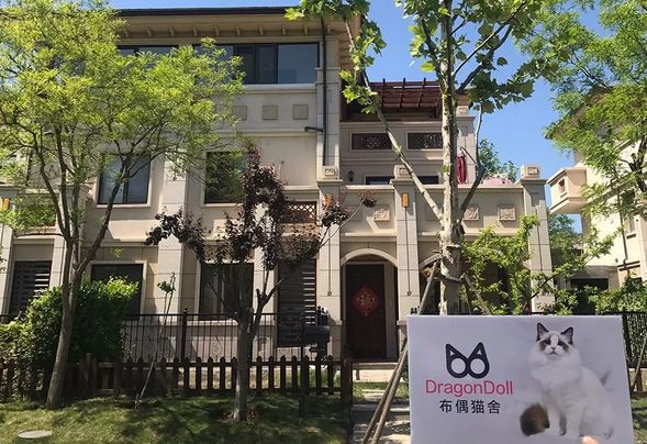 红肠苏伯汤_伯汤兄_汤伯