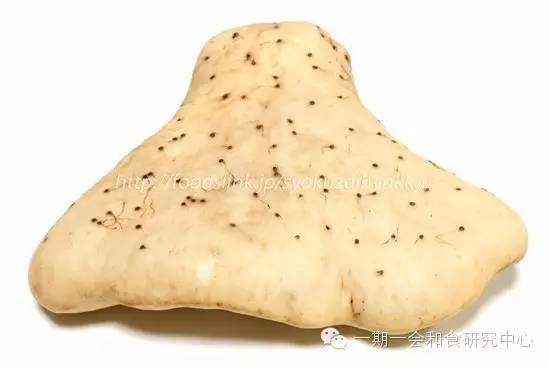 醍醐味_醍醐味_醍醐味