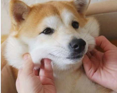 dawned_dawnedupon_dawned是什么意思