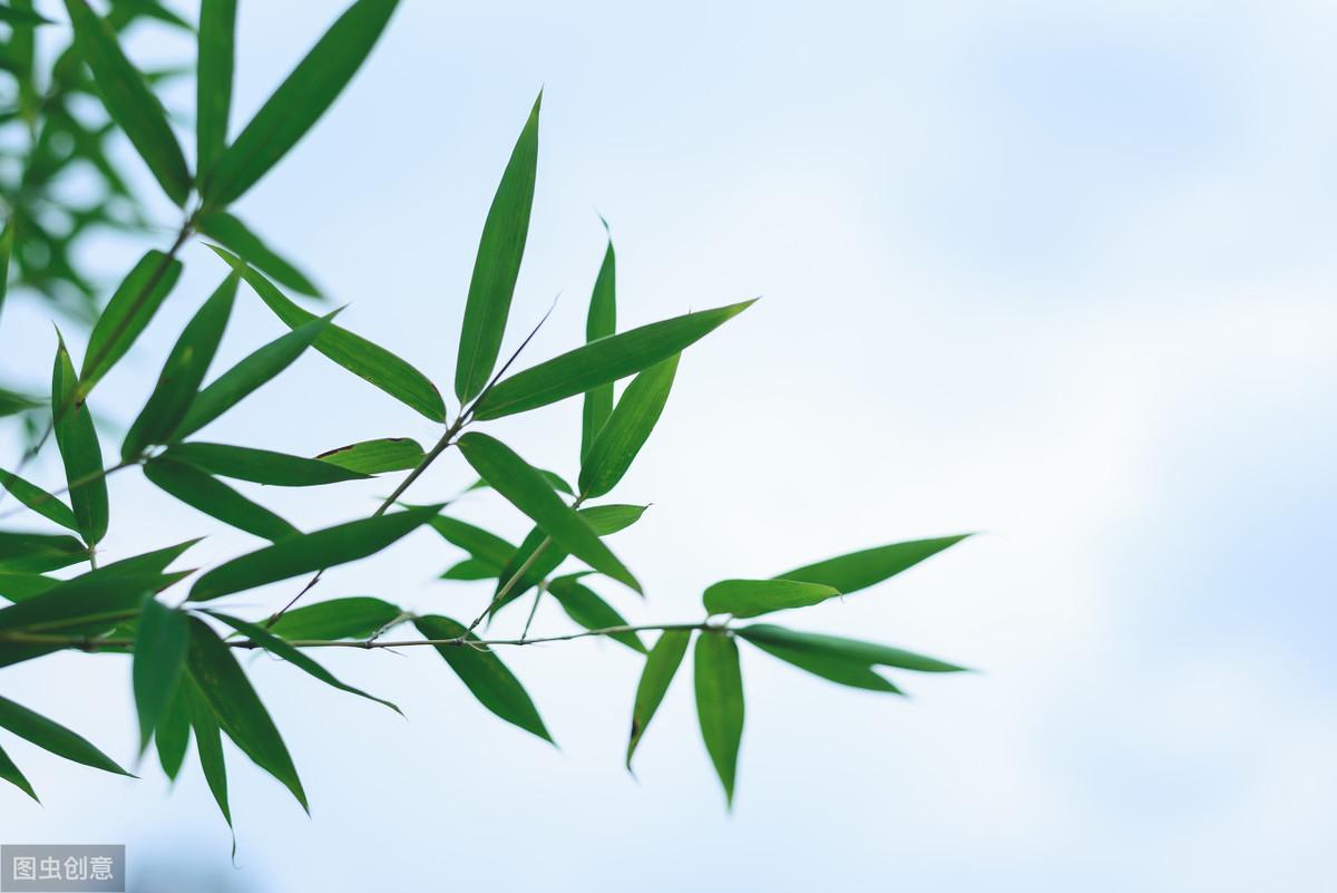 开传世私服开区合区技术_太极拳开与合_大开大合