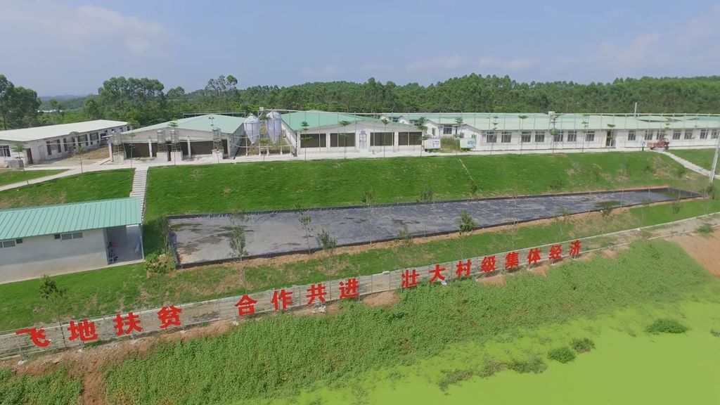 火凤燎原_燎原之火_星火燎原