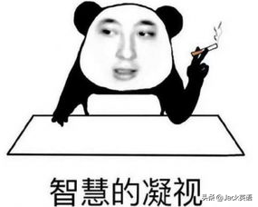 youths_youthstyle翻译_youthSwitch