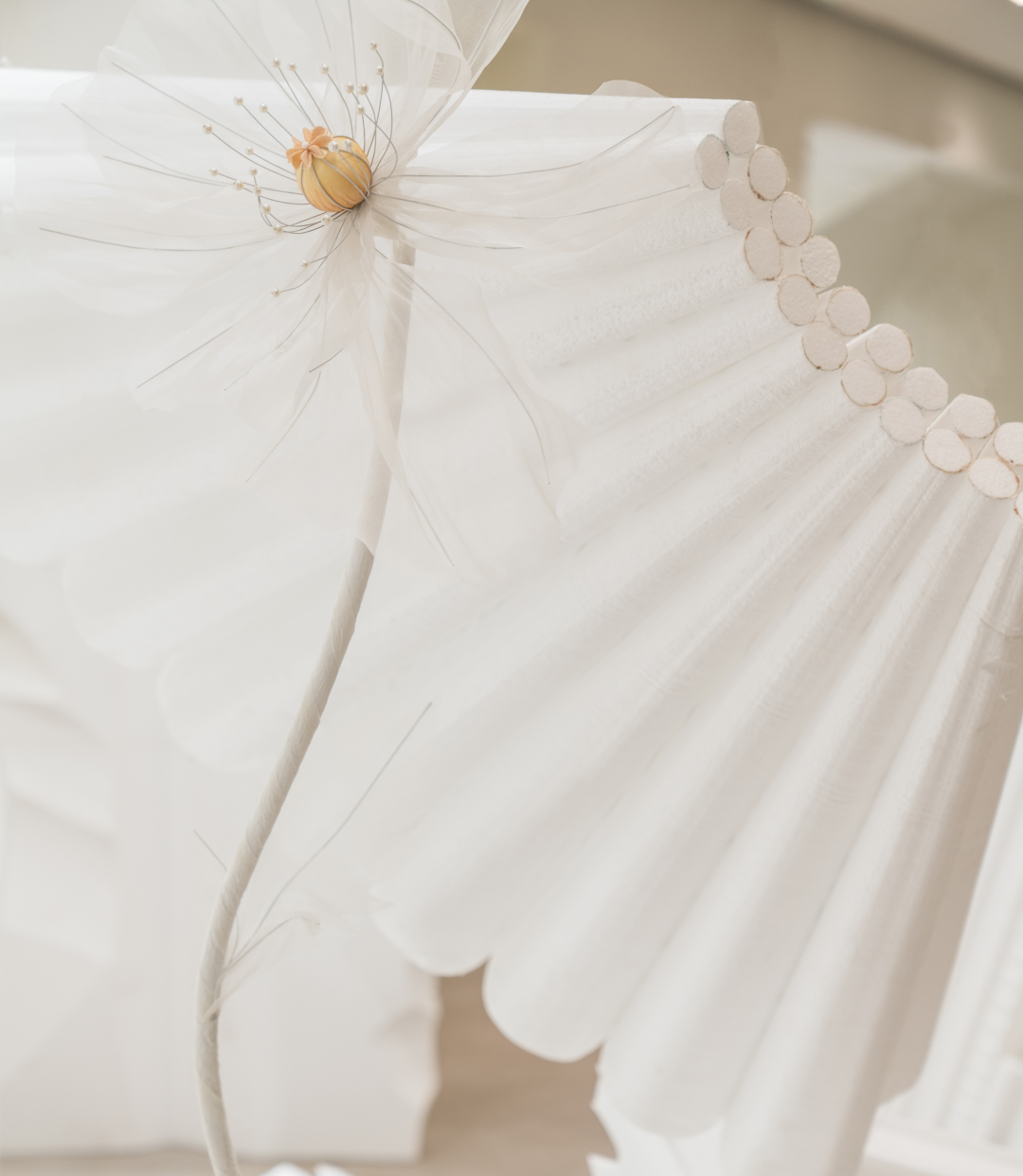 dresses翻译_dresses是什么意思_dresses