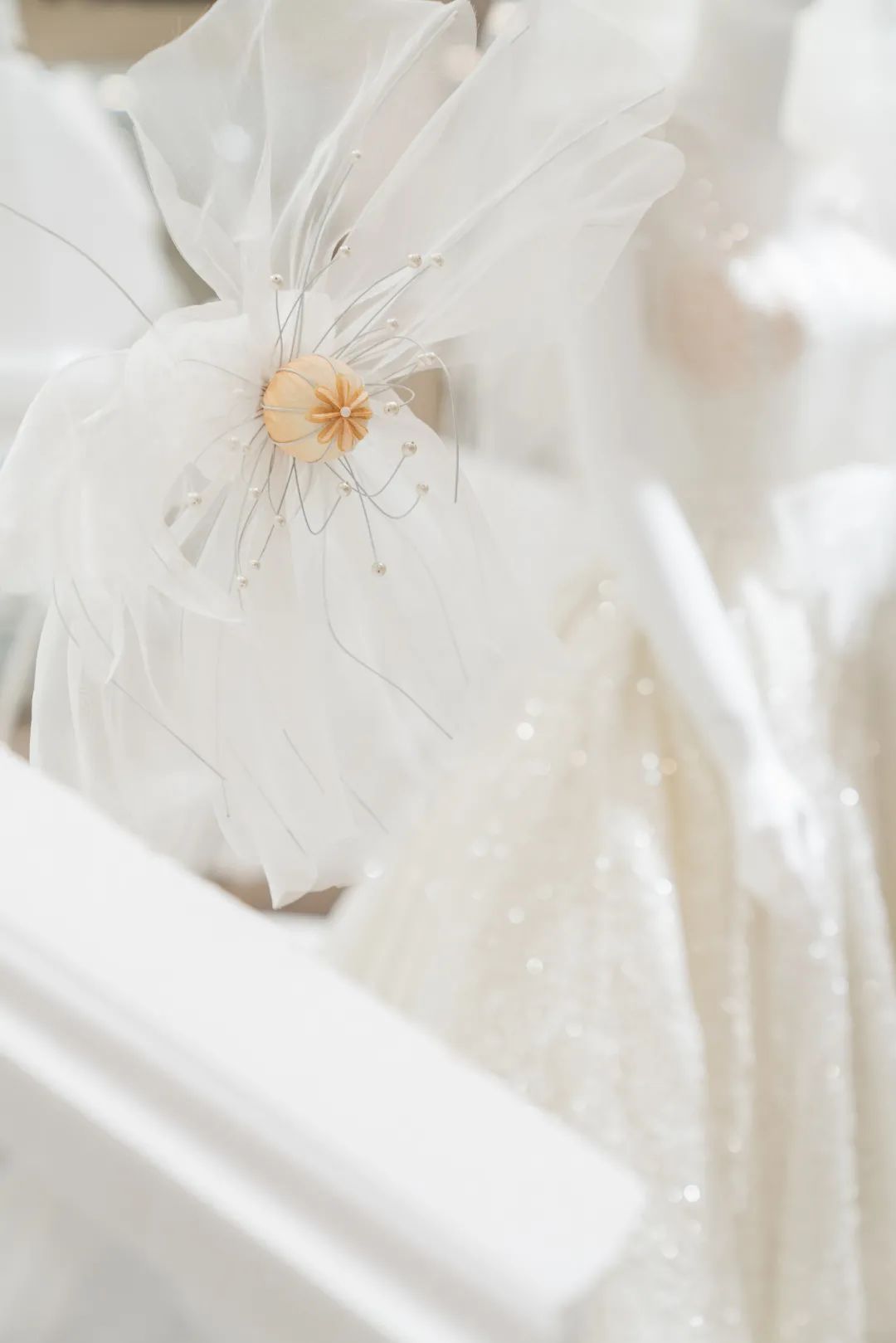 dresses是什么意思_dresses翻译_dresses