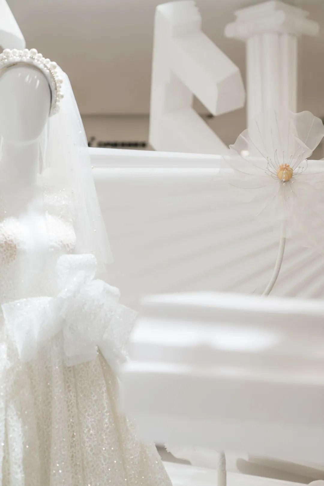 dresses是什么意思_dresses翻译_dresses