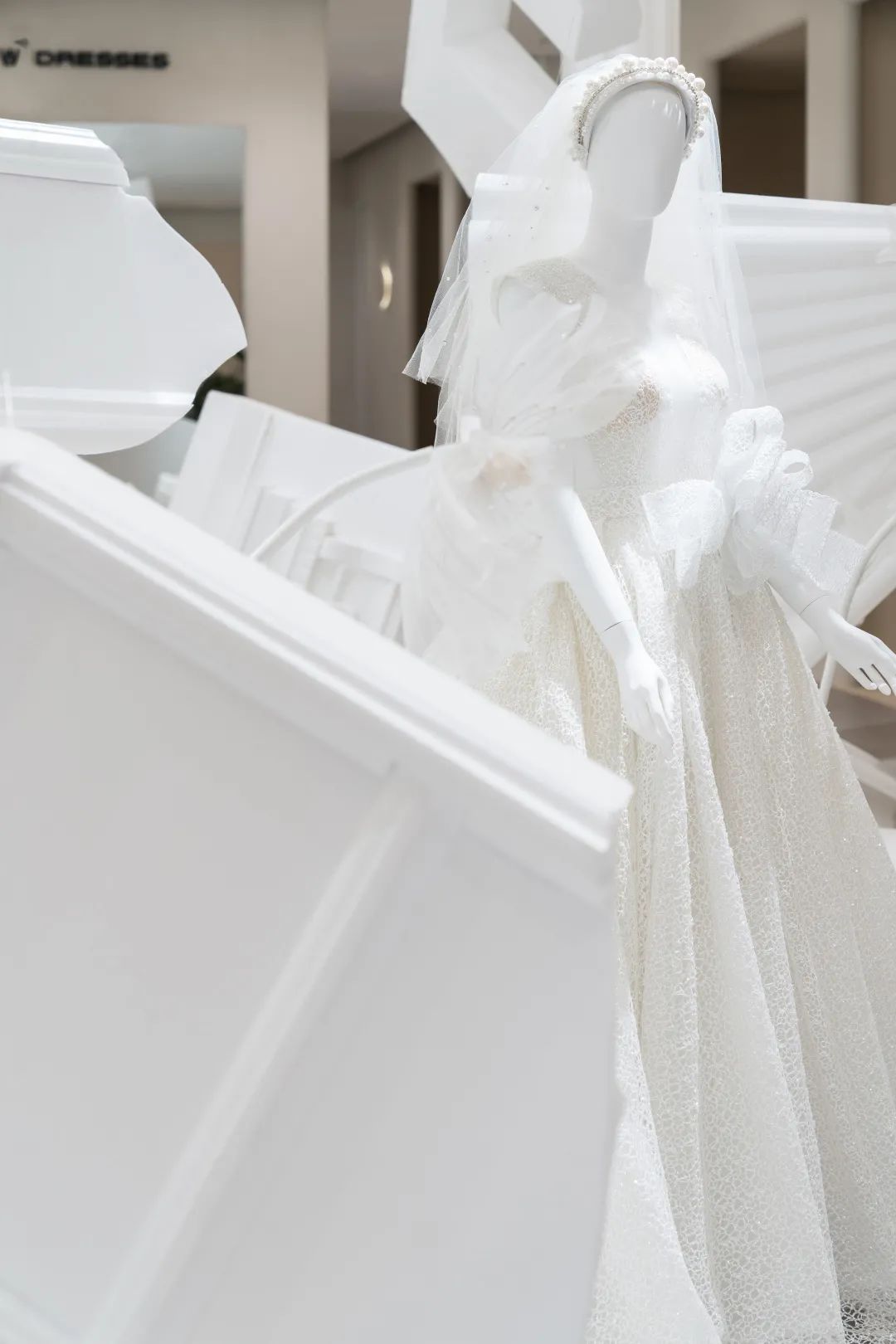 dresses翻译_dresses是什么意思_dresses