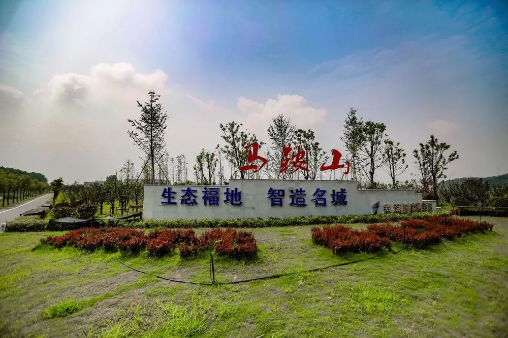 地利生鲜_天时不如地利地利不如人和战例_地利