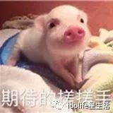 世无双举世无双_举世无双_举世无双解释