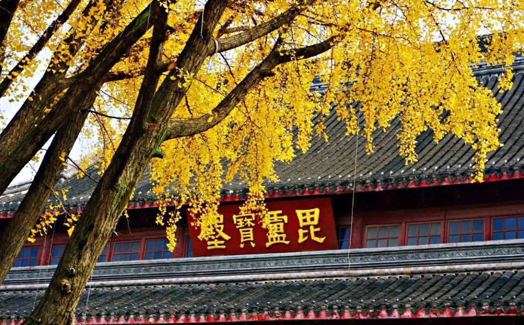 举世无双解释_举世无双_世无双举世无双