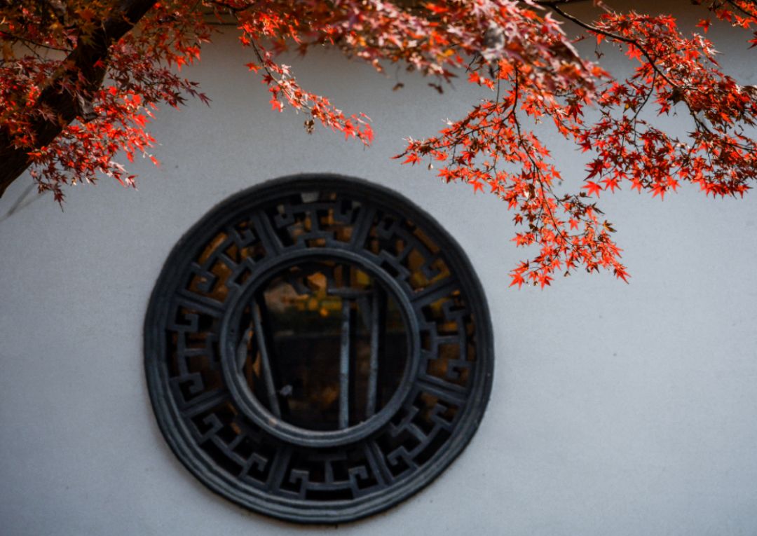 举世无双_世无双举世无双_举世无双解释