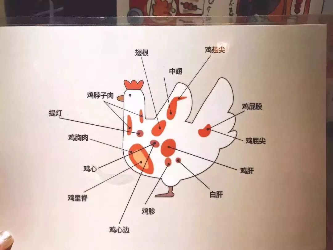 法租界_租界法律_租界法律制度