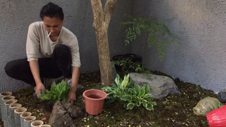 租界法律制度_法租界_租界法国陆军
