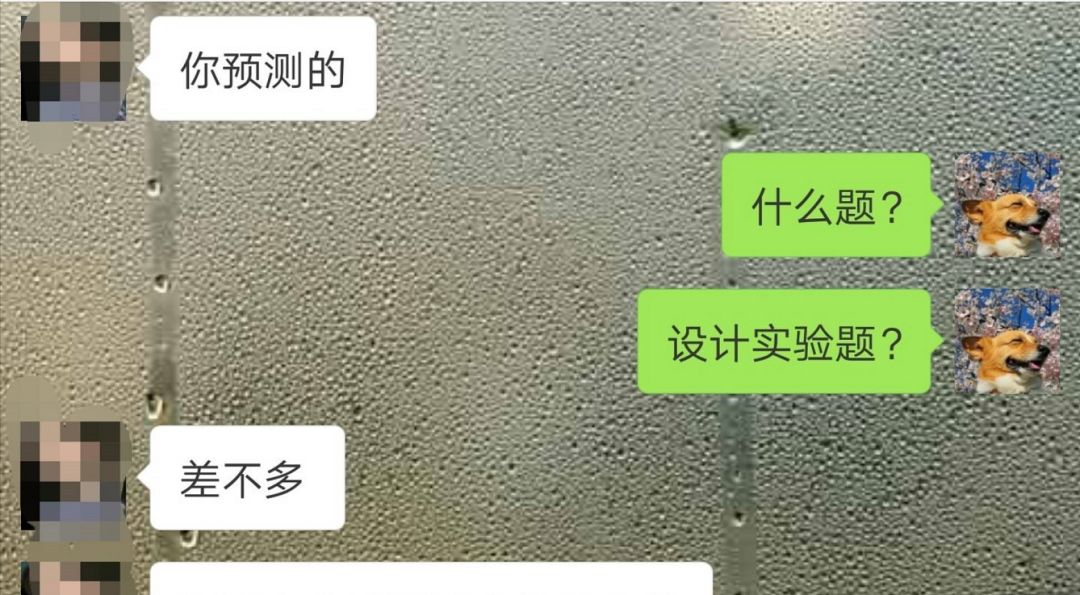多余解释的歌词_多余的解释_多余解释许嵩