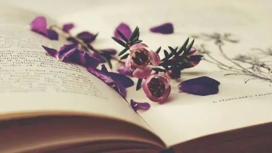 白话大佬是什么意思_大白话_白话大家好怎么说