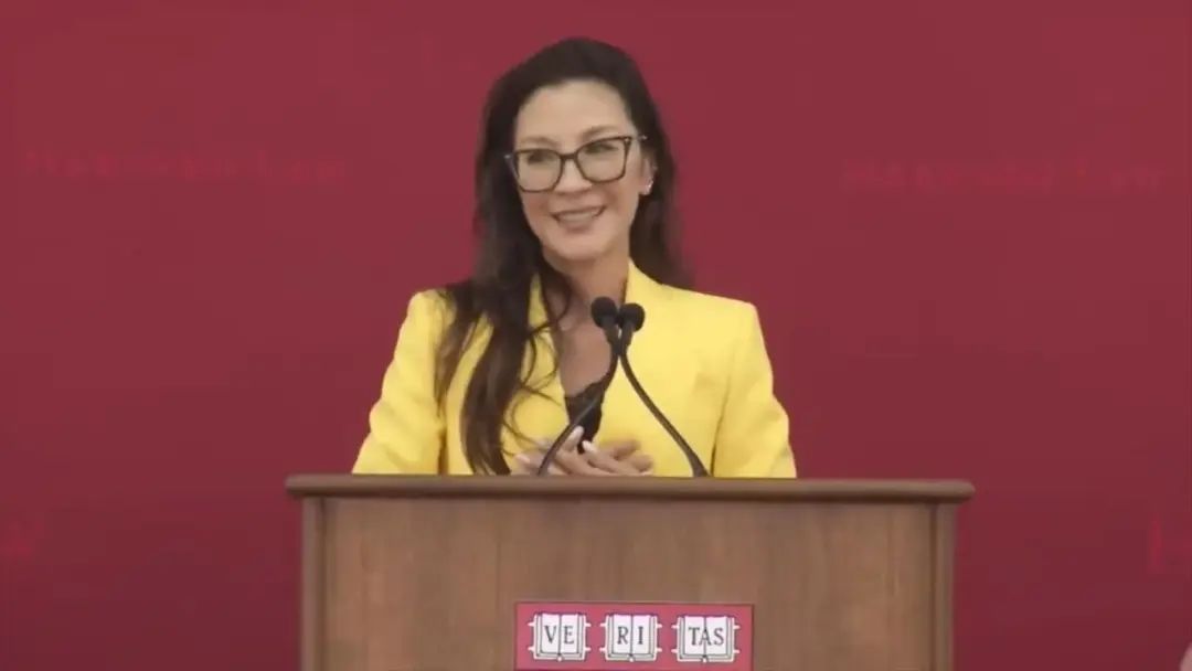 described中文翻译_described_describe的名词